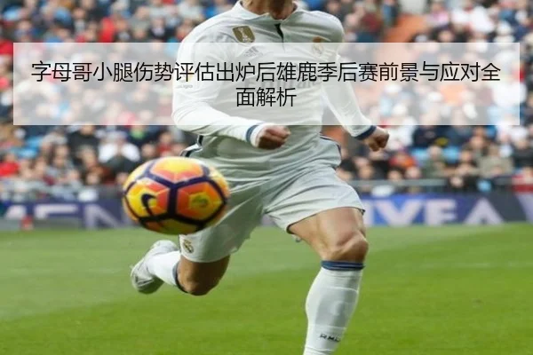 字母哥小腿伤势评估出炉后雄鹿季后赛前景与应对全面解析