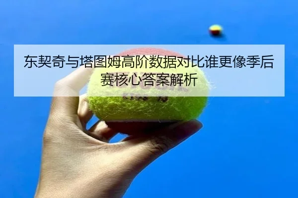 东契奇与塔图姆高阶数据对比谁更像季后赛核心答案解析