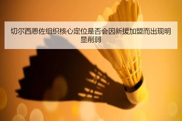 切尔西恩佐组织核心定位是否会因新援加盟而出现明显削弱